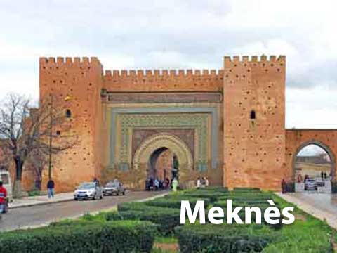 Référencement naturel à Meknès